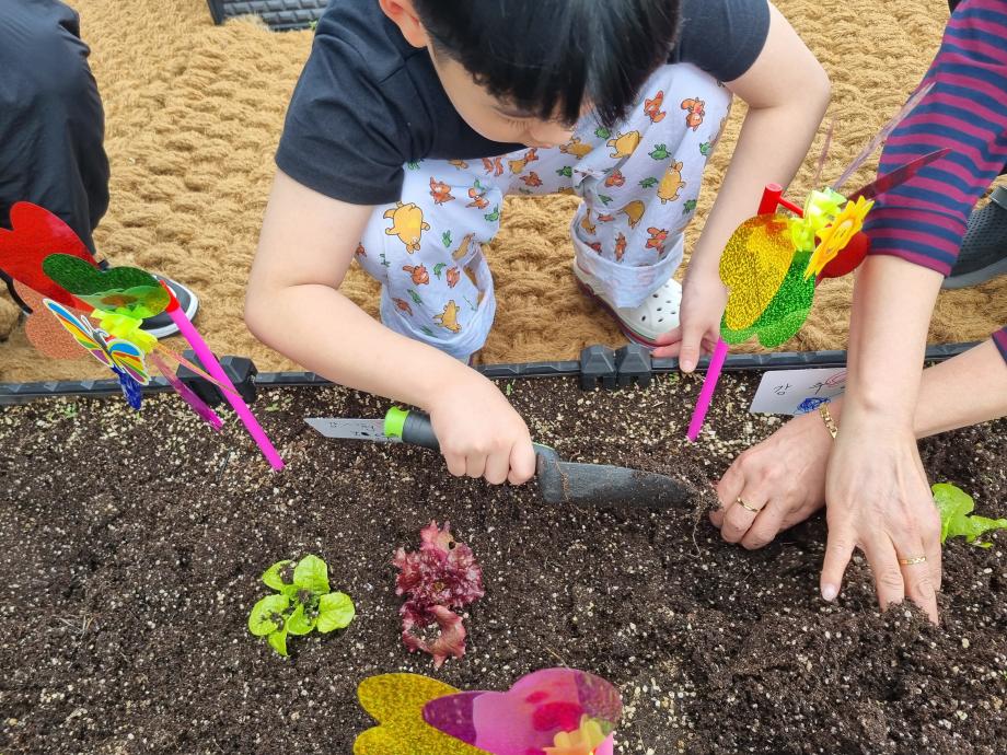 2025년 심리정서 프로그램 <원예 프로그램> 이미지